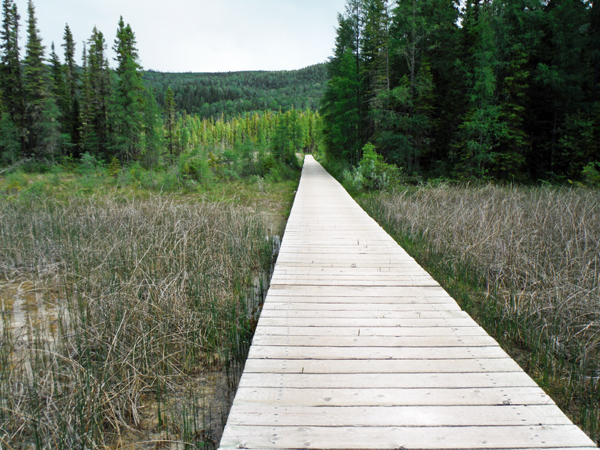 boardwalk